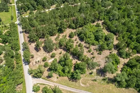 Tbd Lot 1 County Road 302 Plantersville TX 77363