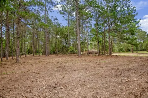 Tbd Lot 1 County Road 302 Plantersville TX 77363