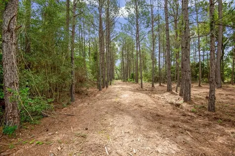Tbd Lot 1 County Road 302 Plantersville TX 77363