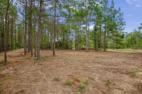 Tbd Lot 1 County Road 302 Plantersville TX 77363