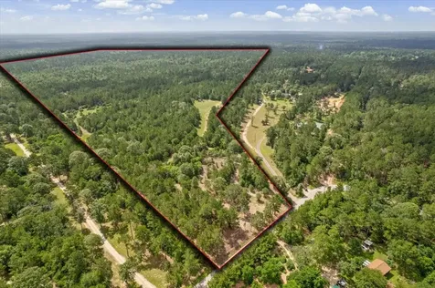 Tbd Lot 1 County Road 302 Plantersville TX 77363