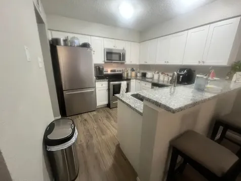 12245 Lemon Ridge Lane 122 Houston TX 77035