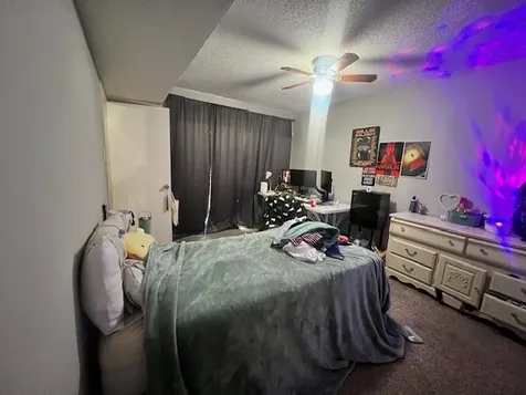 12245 Lemon Ridge Lane 122 Houston TX 77035