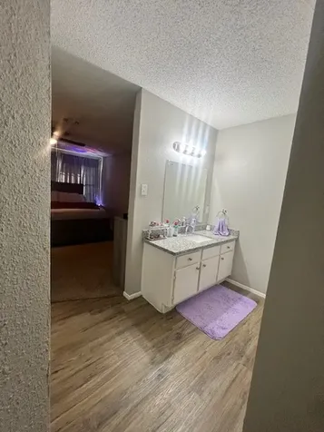 12245 Lemon Ridge Lane 122 Houston TX 77035