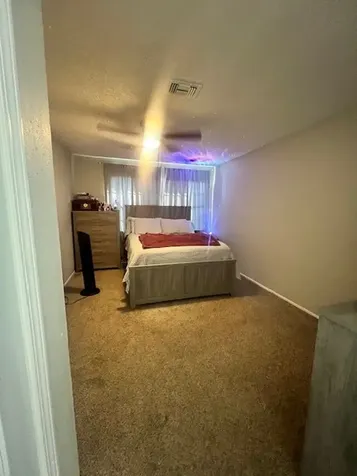 12245 Lemon Ridge Lane 122 Houston TX 77035