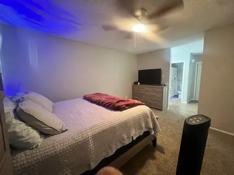 12245 Lemon Ridge Lane 122 Houston TX 77035