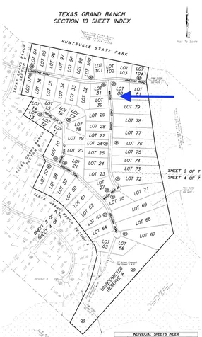 13-21-80 Wagon Pass Drive New Waverly TX 77358