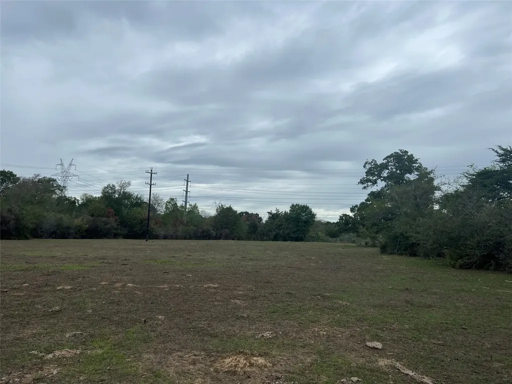 Lot #4 And #5 County Road 166 Iola TX 77861