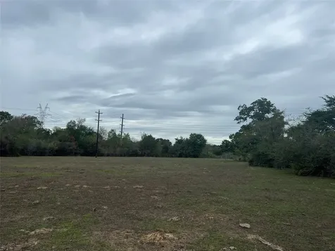 Lot #4 And #5 County Road 166 Iola TX 77861