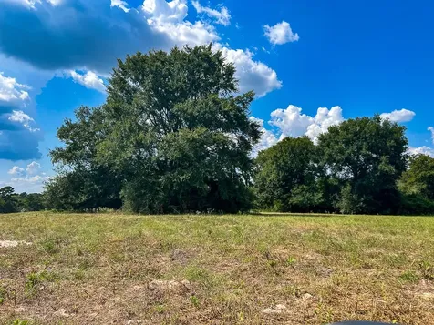 1957 County Road 155 Bedias TX 77831
