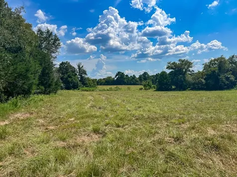 1957 County Road 155 Bedias TX 77831