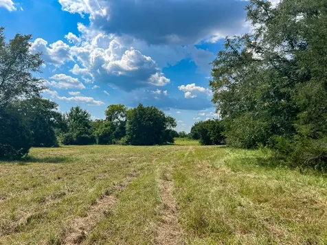 1957 County Road 155 Bedias TX 77831