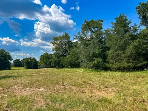 1957 County Road 155 Bedias TX 77831