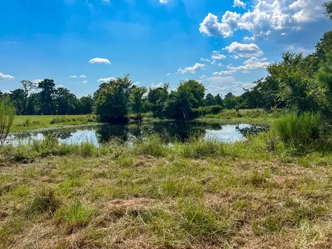 1957 County Road 155 Bedias TX 77831