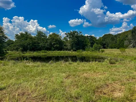 1957 County Road 155 Bedias TX 77831