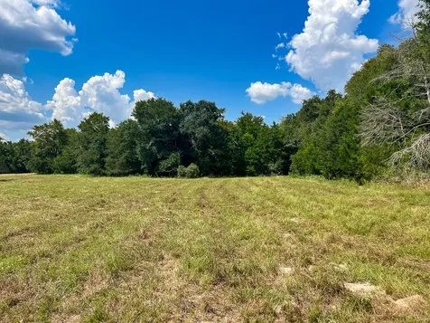 1957 County Road 155 Bedias TX 77831