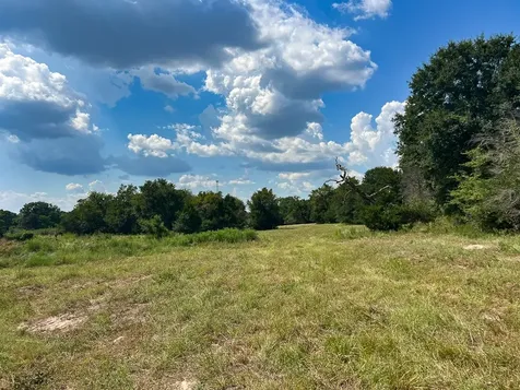 1957 County Road 155 Bedias TX 77831