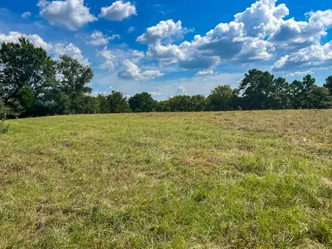 1957 County Road 155 Bedias TX 77831