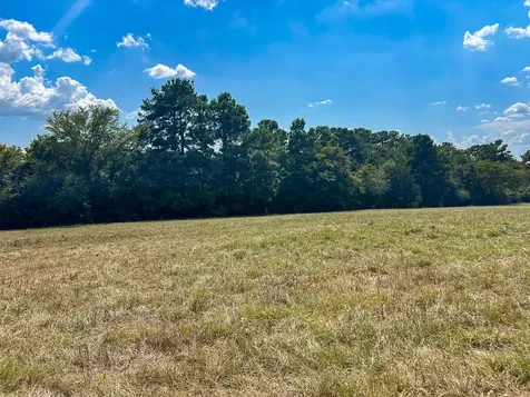 1957 County Road 155 Bedias TX 77831