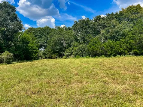 1957 County Road 155 Bedias TX 77831