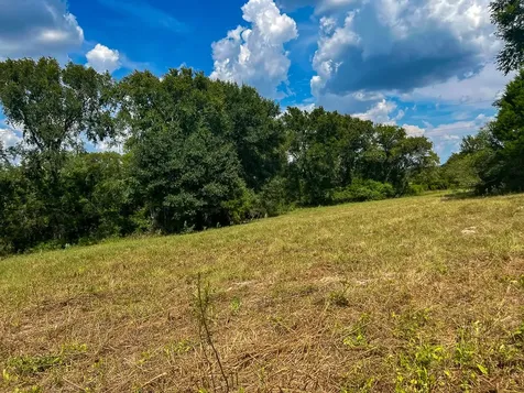 1957 County Road 155 Bedias TX 77831