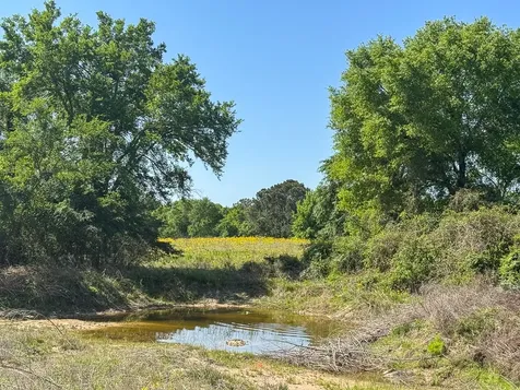 1957 County Road 155 Bedias TX 77831