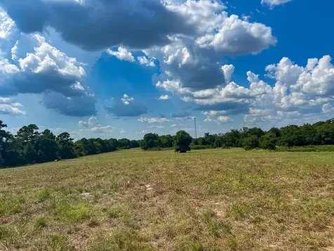 1957 County Road 155 Bedias TX 77831