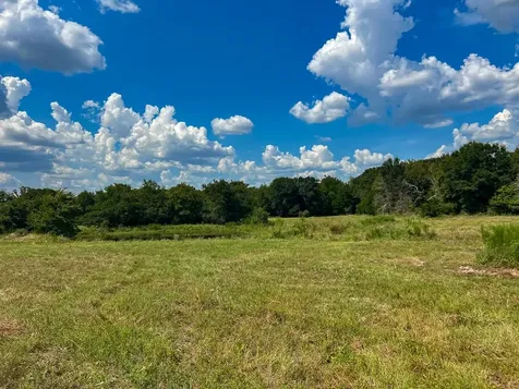1957 County Road 155 Bedias TX 77831