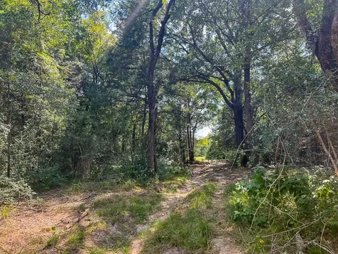 1957 County Road 155 Bedias TX 77831
