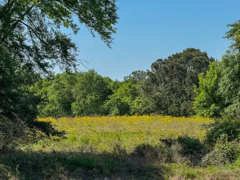 1957 County Road 155 Bedias TX 77831