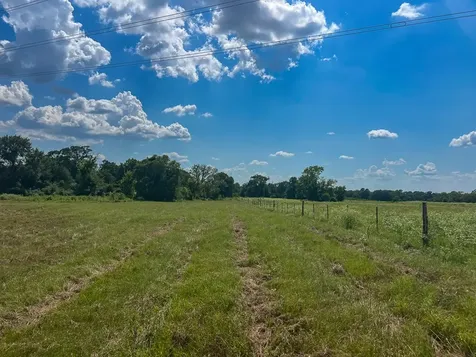 1957 County Road 155 Bedias TX 77831