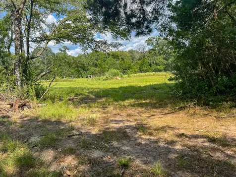 1957 County Road 155 Bedias TX 77831