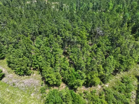 1 Lost Creek Road Lovelady TX 75851