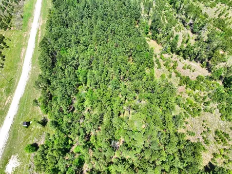 1 Lost Creek Road Lovelady TX 75851
