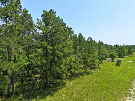 1 Lost Creek Road Lovelady TX 75851