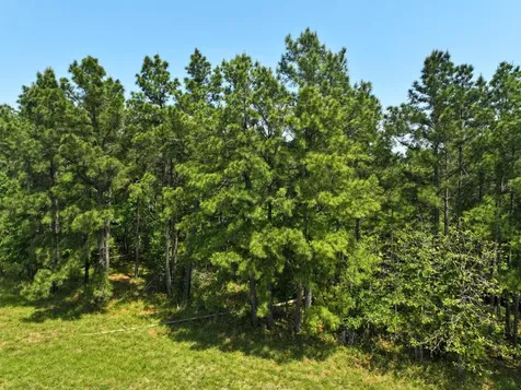 1 Lost Creek Road Lovelady TX 75851