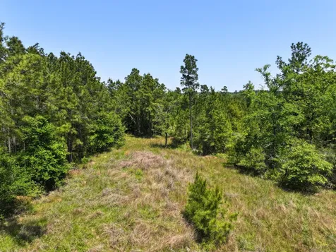 1 Lost Creek Road Lovelady TX 75851