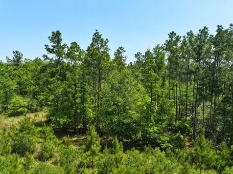 1 Lost Creek Road Lovelady TX 75851