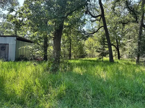 00 Pine Wood Drive Huntsville TX 77320
