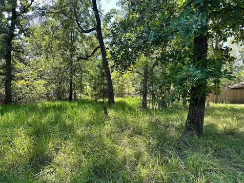 00 Pine Wood Drive Huntsville TX 77320