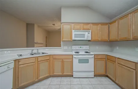 20511 Bouganvilla Blossom Lane Cypress TX 77433