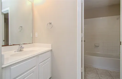 20511 Bouganvilla Blossom Lane Cypress TX 77433