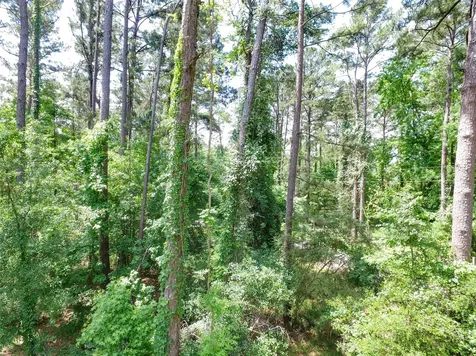 Tbd S Grand Pine Circle Livingston TX 77351