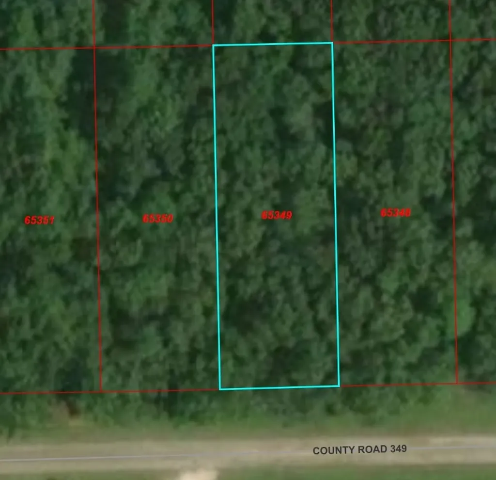 Tbd County Road 349 Cleveland TX 77327