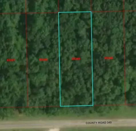 Tbd County Road 349 Cleveland TX 77327