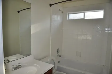 19118 Mossy Hedge Lane Katy TX 77449