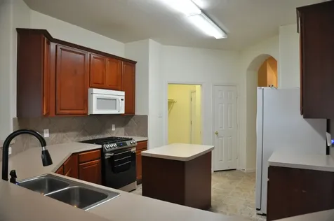 19118 Mossy Hedge Lane Katy TX 77449