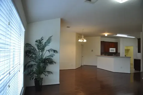 19118 Mossy Hedge Lane Katy TX 77449