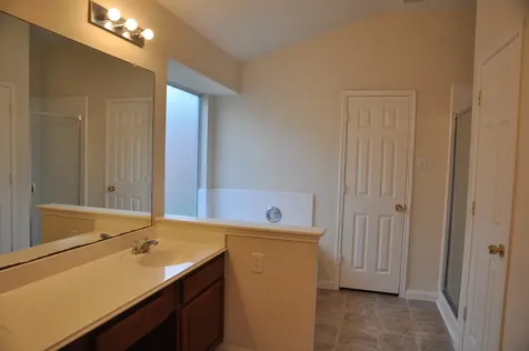 19118 Mossy Hedge Lane Katy TX 77449