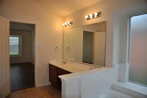 19118 Mossy Hedge Lane Katy TX 77449